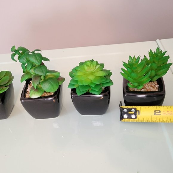 Artificial Succulents - Picture 3 of 4